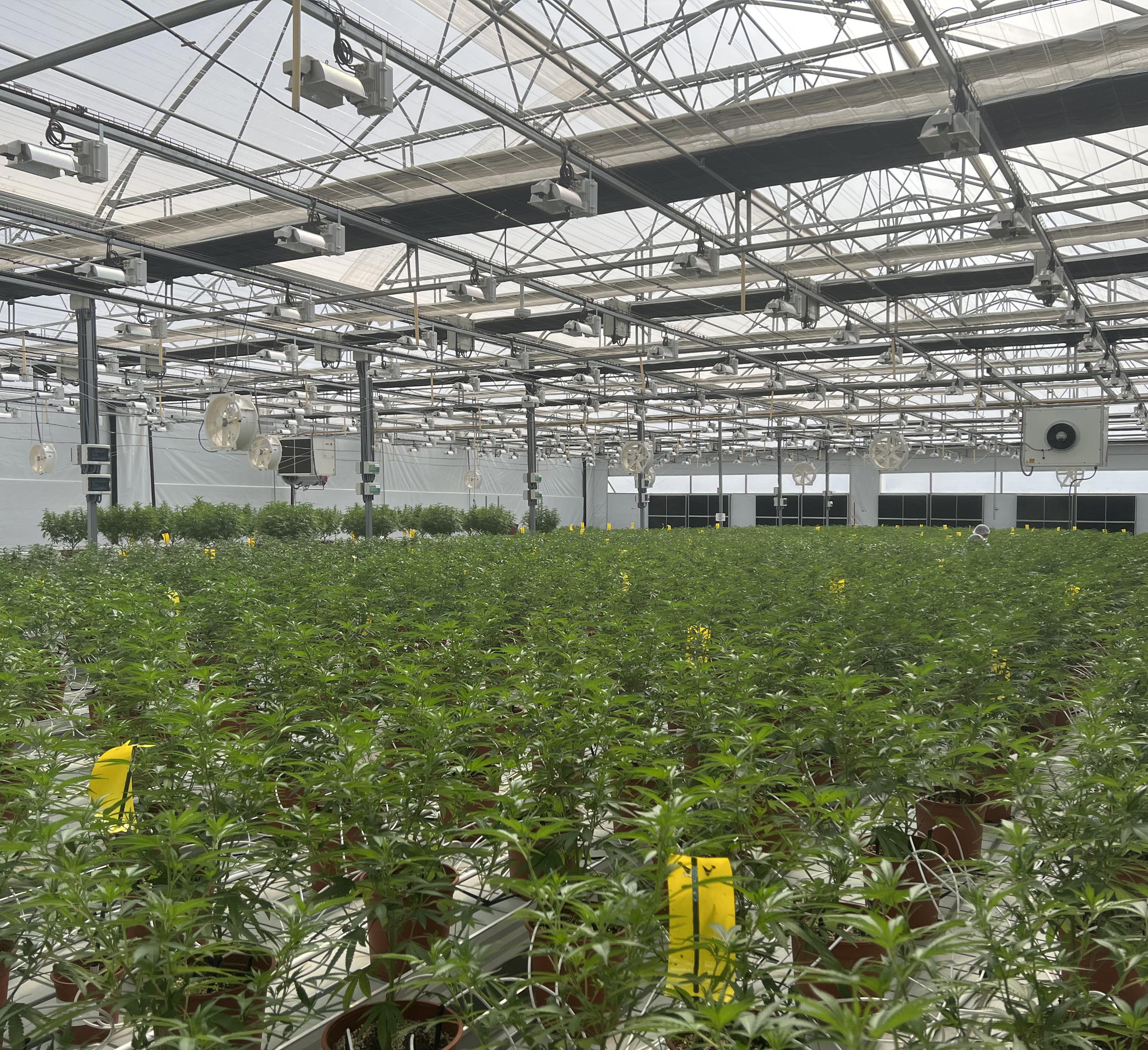 indor-facility-momentum-conglomerate-helps-to-grow